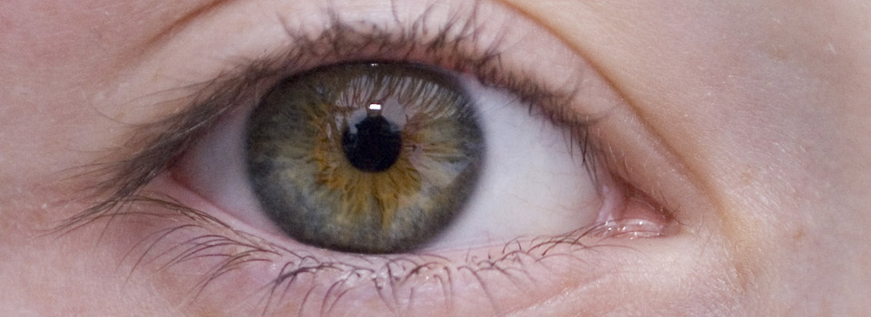 eye